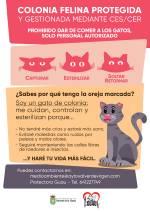 cartel
