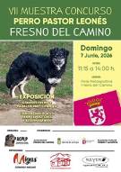 PERRO