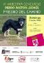 PERRO